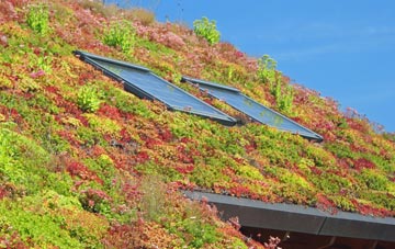 Nettlestead living roof systems