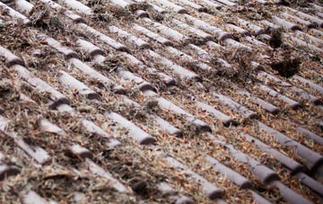 Nettlestead roof cleaning companies