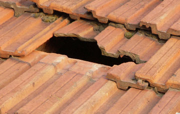 roof repair Nettlestead