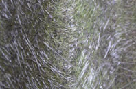 Nettlestead fibreglass roof work